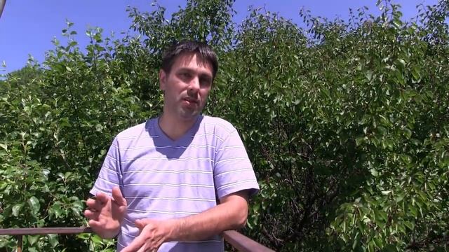 Солнечные панели батареи Выбор места установки и способа крепления смотреть онлайн