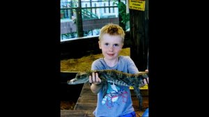 Крокодиловая ферма.