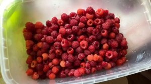 Закрутки на зиму в деревне
