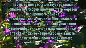 К чему снится Перец черный сонник, толкование сна