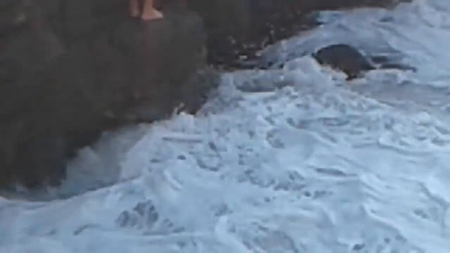 Storm at Fiolent 20170729 1816471 смотреть онлайн