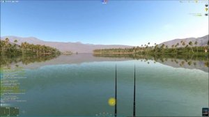 Харацин разбойник, квест Африканские тетры в игре тр2.ру