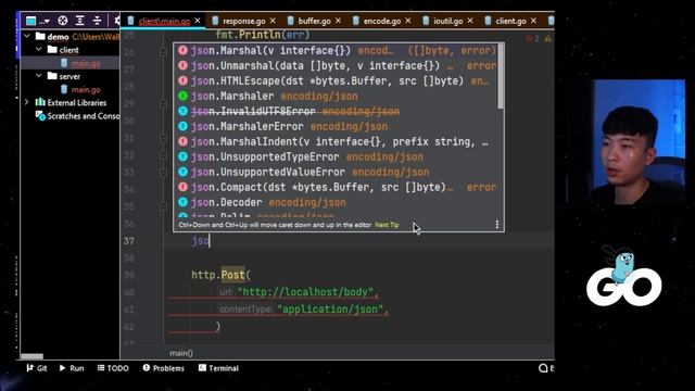 Golang Web App - Sending API Requests