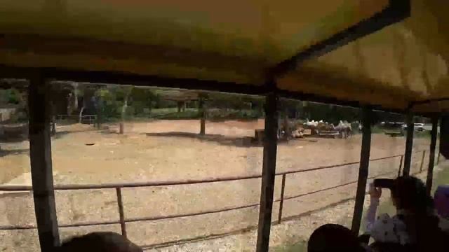 # 8 / 2-й день / Озеро Тайху (太湖) / провинция Чжэцзян (浙江) / г. Хучжоу (湖州) / Зоопарк смотреть онлайн