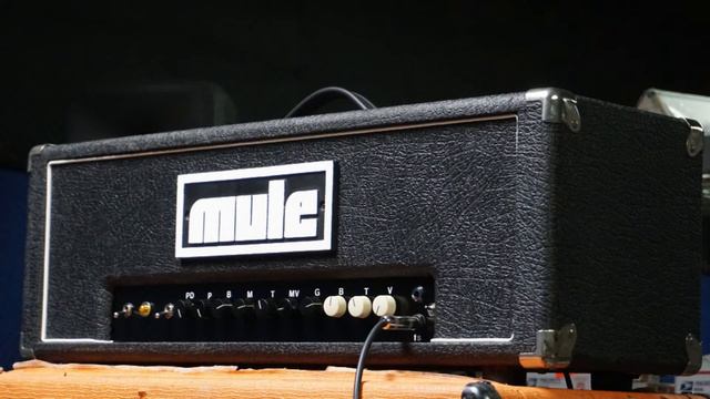 MULE Amplification // TexasCrvsher 100watt смотреть онлайн