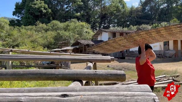 漫山遍野的黄花菜，阿嬷摘来晒成干货，炖肉入口即化煲汤清甜爽口丨dried day lily【闽湖阿嬤FujianGrandma】