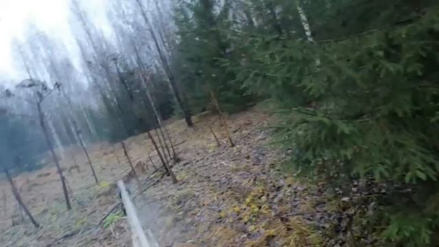 Заяц. Дальний выстрел - попадание с третьего раза.