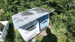 Как определить наличие матки в рое(семье).