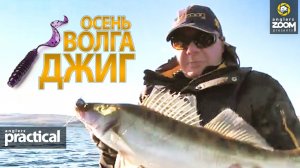 СУДАК с каждого заброса! ДЖИГ. Осень. Волга. А.Соглаев