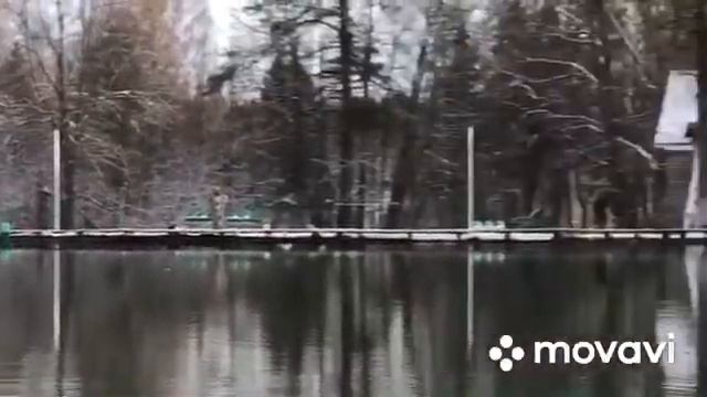 10 ноября открытая вода в Ольгово. смотреть онлайн
