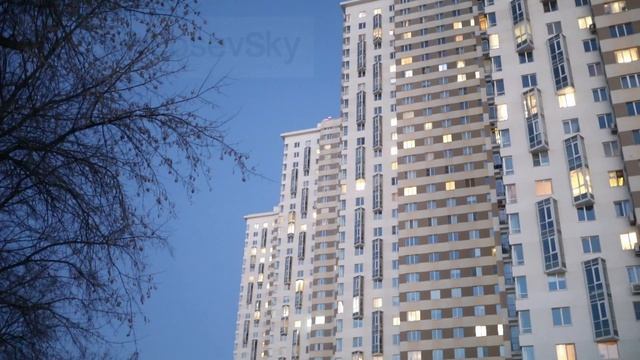 Мюзикл. Лес чудес в ЖК ЛО смотреть онлайн