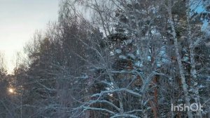 ?⛄❄️Старый новый год?, ???️?картонаж- советские ёлочные игрушки, 4 часть❤️??