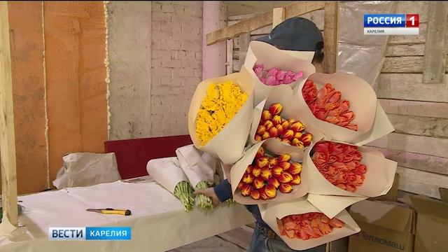 60 тысяч тюльпанов вырастили в карельской деревне