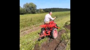 Мотоблок Беларус 08МТ с приставкой трехколесный. Запахиваем сидераты.