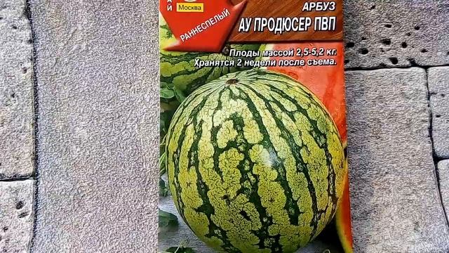Арбуз АУ Продюссер ПВП - ознакомление