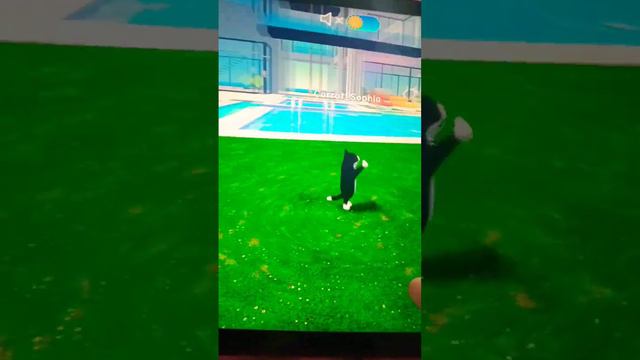 игра называется котёнок.танец под номером 3 для тех кто не знает! смотреть онлайн