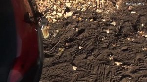 Irbis Garpia отзыв и обзор - более 20к пробег