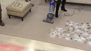 Dyson DC65 Animal Ball Upright Vacuum w/ 7 Attachments with Dan Wheeler