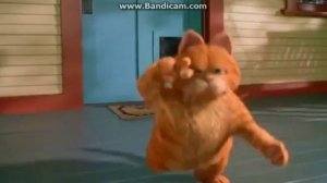 Песня Не жинюсь я нежинюсь