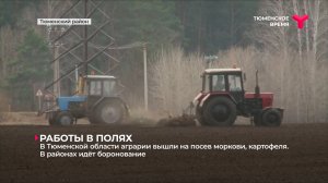 В Тюменской области аграрии вышли на посев моркови, картофеля. В районах идёт боронование