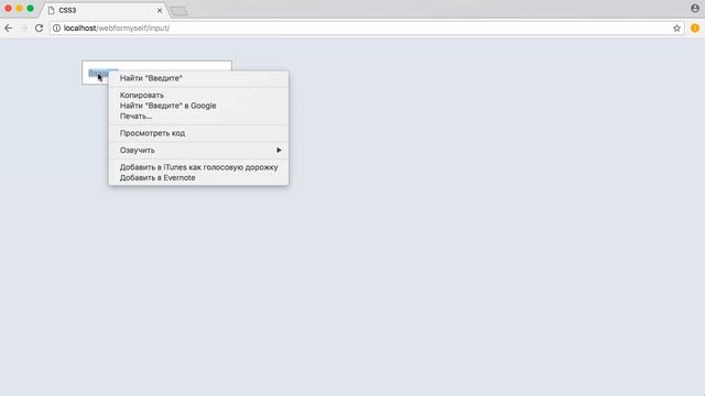 Нестандартная подсказка в поле формы input смотреть онлайн