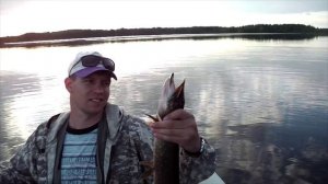 Охота за трофеем на Ковжском озере