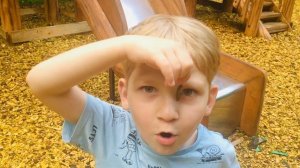 Лесное хозяйство