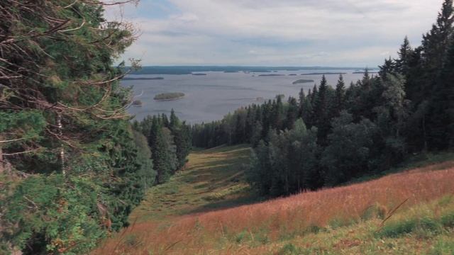 HIKING IN FINLAND - Koli nationalpark  Kolin kansallispuisto