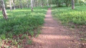 Александра Пахмутова, стихи Николая Добронравого _Ваня_..mp4