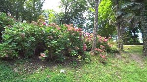 Сан-Себастьян - Испанское Монако которое должен посетить каждый (San Sebastián)