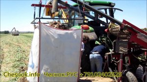 Комбайн для уборки чеснока, чеснокоуборочный комбайн