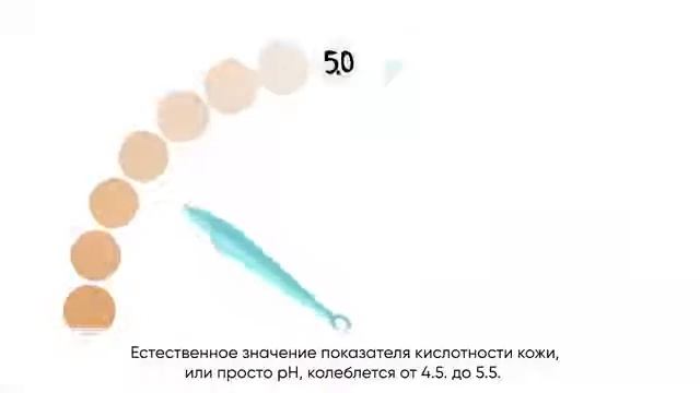 Biomica-серия для ухода за кожей . Очищение и баланс смотреть онлайн