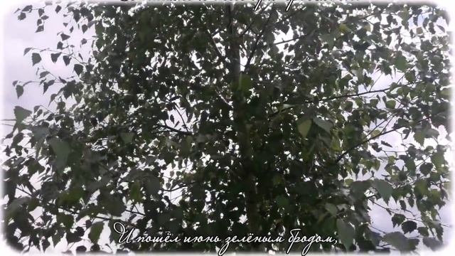 Как-то шёл июнь через речонку... Баллада о берёзе || Стих о любви