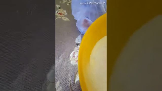 #ПИРОГ НА КЕФИРЕ ? смотреть онлайн