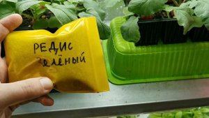 ЛАМПЫ ДЛЯ МИКРОЗЕЛЕНИ: КАКИЕ ЛАМПЫ НУЖНЫ ДЛЯ ВЫРАЩИВАНИЯ МИКРОЗЕЛЕНИ, ФИТО СВЕТИЛЬНИКИ