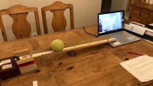 Maddalina Garrison- Rube Goldberg Selfie Device & Newtons 2nd Law