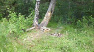 р. Водлица