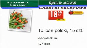 Biedronka | Kwiaciarnia Biedronki Nowa Oferta Od 16.02.2023 | Kwiatowe Inspiracje Biedronki