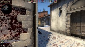 Counter-Strike Global Offensive (несколько минут с разными тиммейтами)
