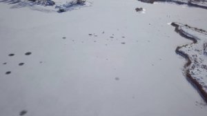 Усть-Лабинск, первый лед 2021, озеро Копытце