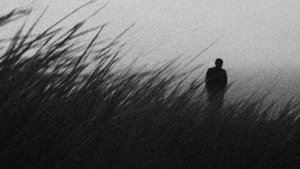 плейлист для жизни в черно-белом мире