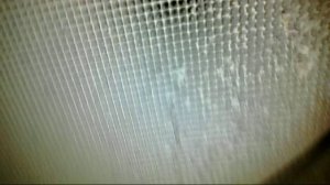 Эндоскопия катализатора Киа Соул 92000 км