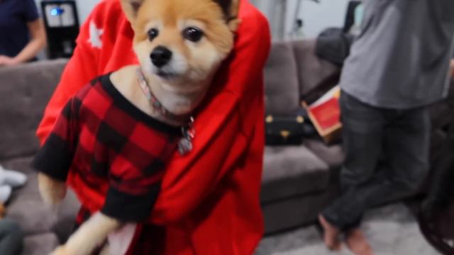 CHRISTMAS EVE VLOG 🎁 family time & opening presents | Vlogmas Day 24! смотреть онлайн