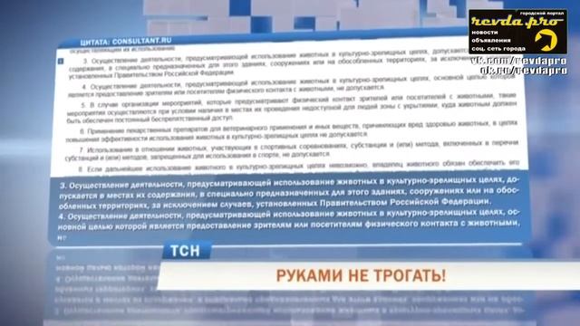 Ревда. Законна ли выставка животных или это контактный зоопарк? смотреть онлайн