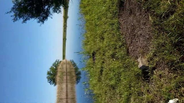 Как правильно подготовиться к большой рыбалке часть 6. смотреть онлайн