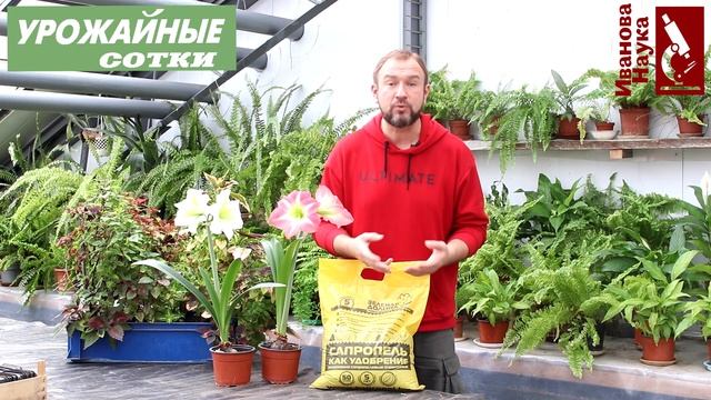Смотрите не переборщите! Слишком вкусная подкормка для растений.