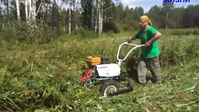 МОТОБЛОК НЕВА! КОСИМ ТРАВУ  ПЕРВЫЙ ОПЫТ смотреть онлайн
