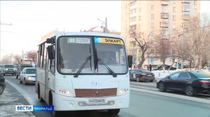 В Кургане появились 40 новых маршрутов общественного транспорта