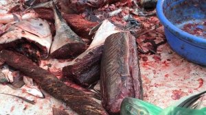 Fastest Cutting Speed ! Cutting a Giant Tuna Fish Cutting Skills in Fish Market ! Tuna Fish Cutting
