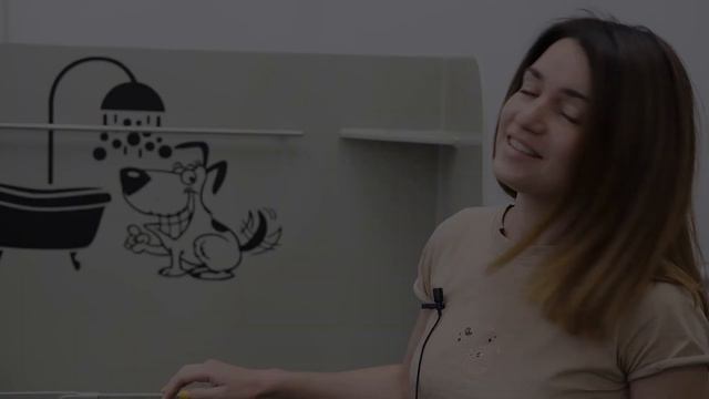 Ванны для груминга КОПТИЛЬКОФФ обзор 3х моделей смотреть онлайн